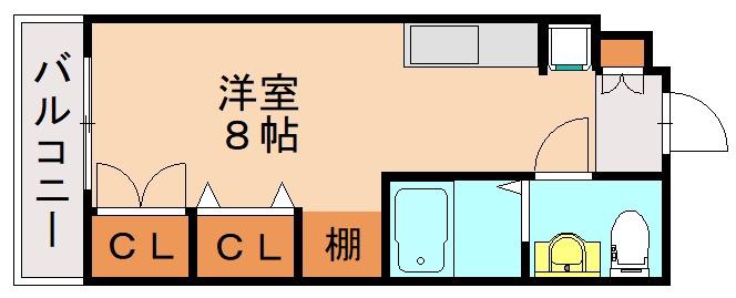 カリタスプラザ(1K/1階)の間取り写真