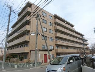 トニカラメラ月寒東