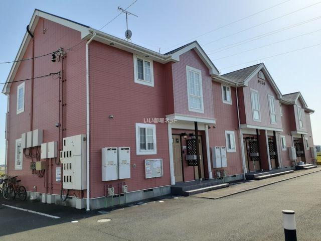 ひまわり