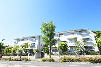 CROSS SEASON甲子園