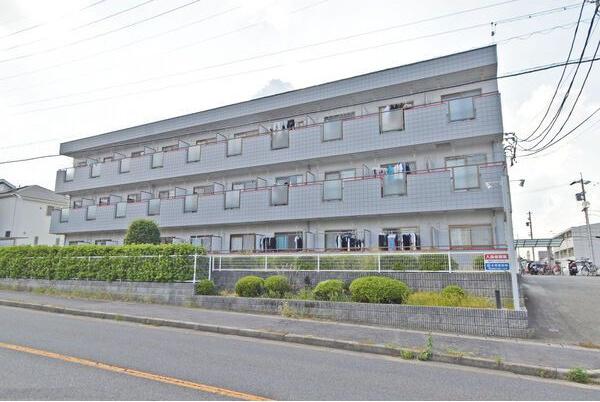 レナ三宅