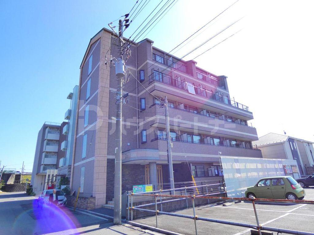 ベリーノ