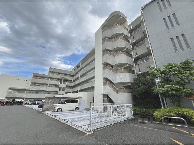 ひよどり