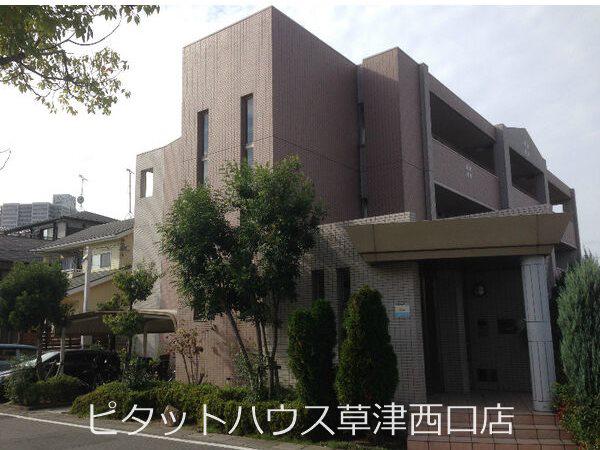 フローラ藤