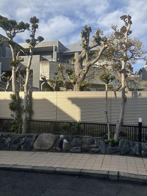 ＪＲ東海道本線 大磯駅 徒歩8分 3階建 築26年