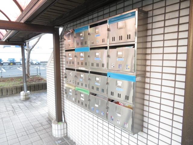 スイトマジョラム