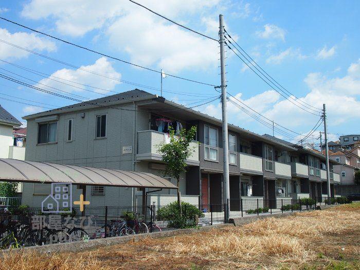 ステラB