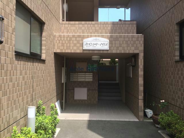 ブレインコート・アイビス