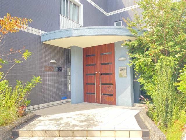 ミコノス亀が洞