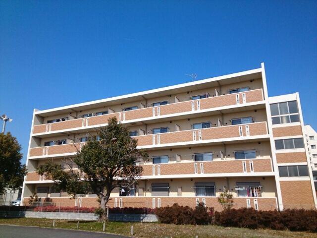 EVER GREEN FUJI