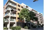 パティオス8番街