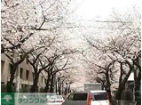 桜アベニュー