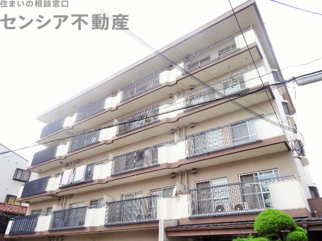 ホワイトシャンボール
