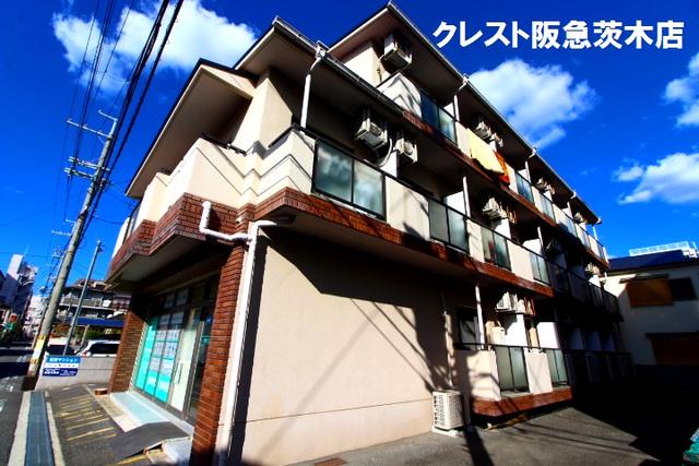 ジャニ茨木