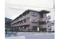 シャドーヒルI