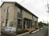 サクラコート