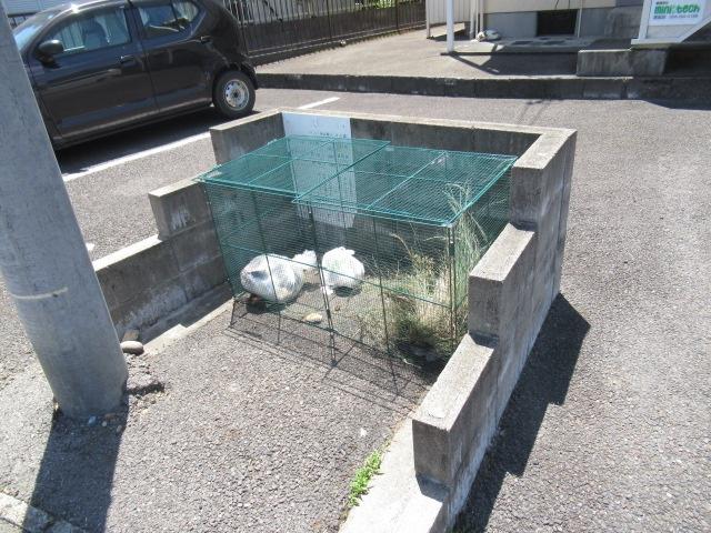 フラットクワトロII