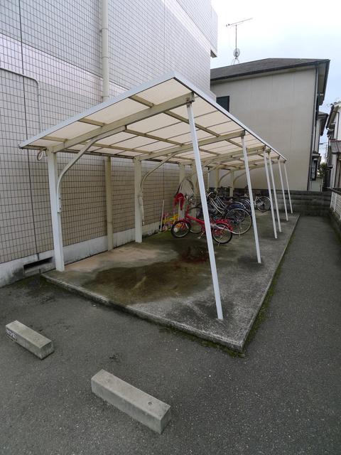 パレウイング