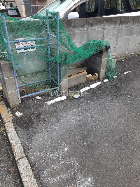 クランベリー