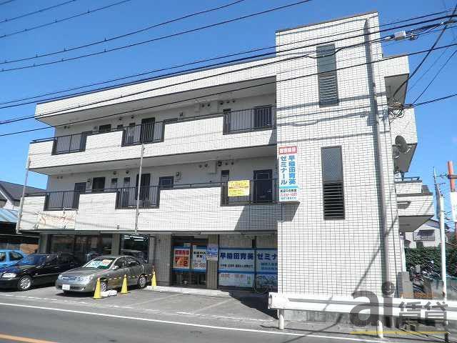 ゴールドクレスト