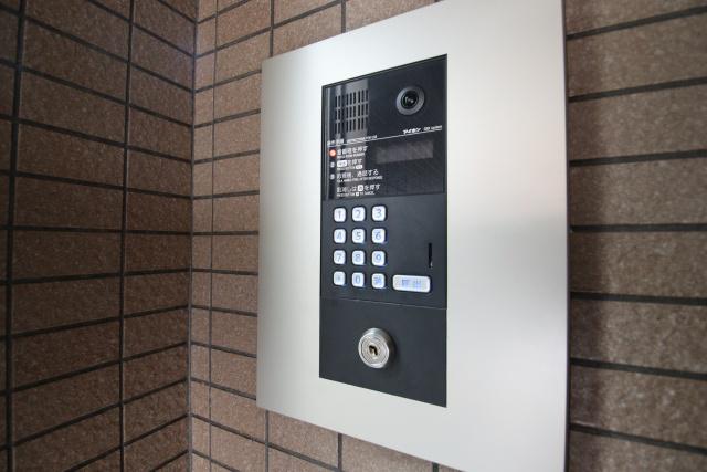JSコートII