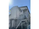 ガーベラ