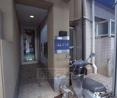 ヴィヴィ モラド