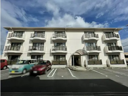 ハイムティファニーA棟(1K/2階)の外観写真