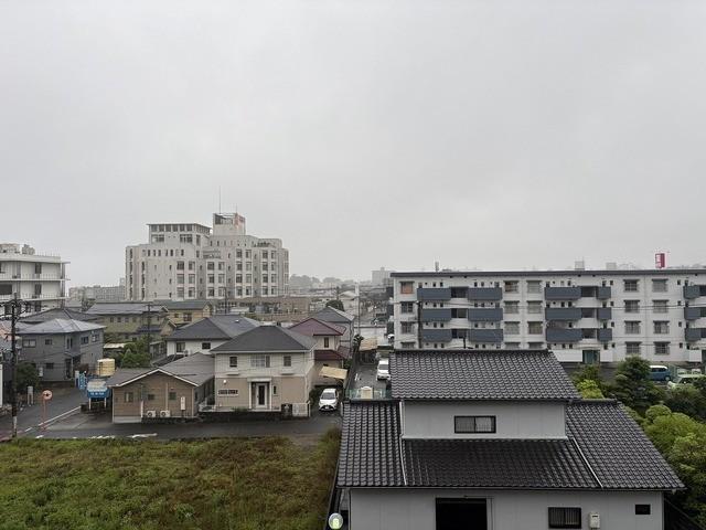 ウェルス 別府