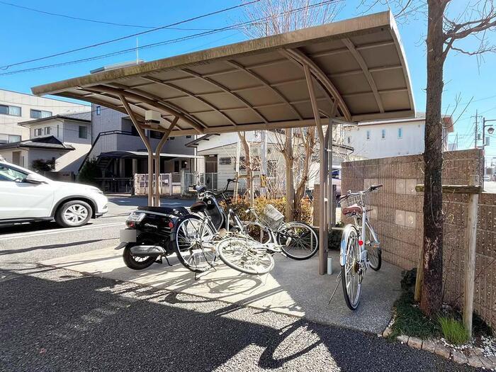 シャインローズ