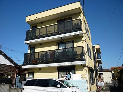コスモス