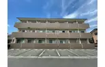 グレイスフラット
