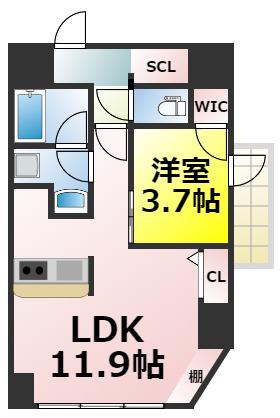 グレースキンエー敷津(1LDK/4階)の間取り写真