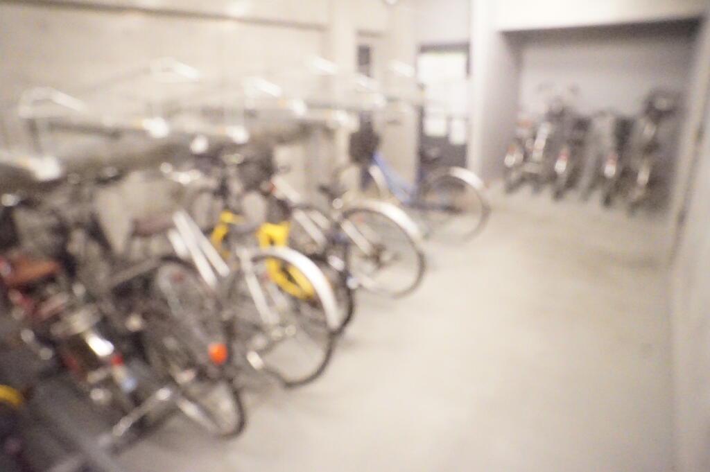 エターナル オリオン