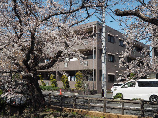 桜ヴィラ