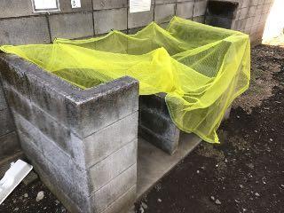 コーポ大矢