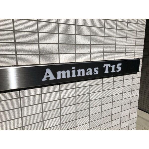 AMINAS T15