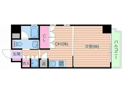 クリサンテーム・ウエスト(1DK/6階)の間取り写真