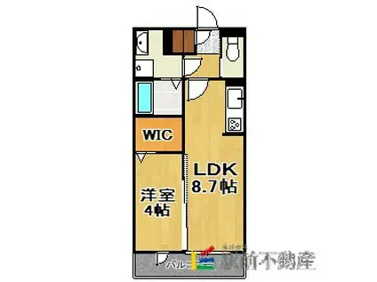 D-ROOMさくら(1LDK/3階)の間取り写真