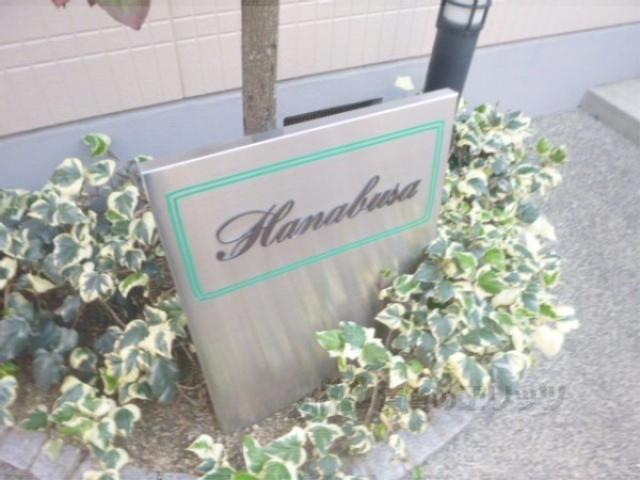 HANABUSA