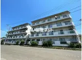 ヒルズ藤原
