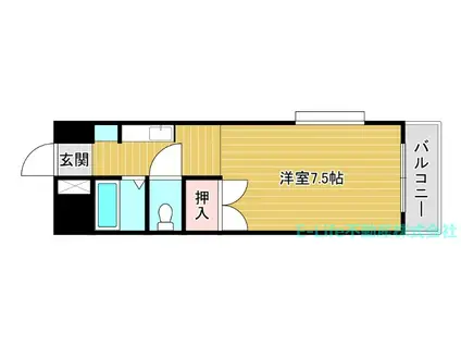 ドミール新外(ワンルーム/5階)の間取り写真