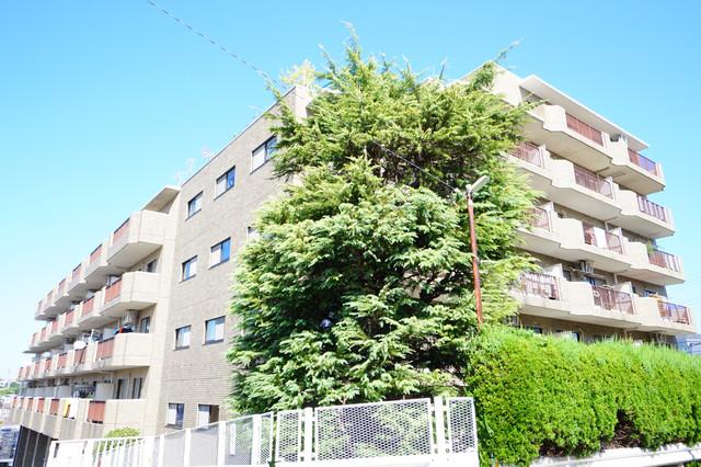 トーカド宮崎台 S棟(5LDK/7階)