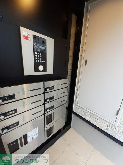 サンシャイン グレイス