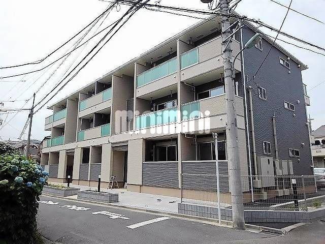 リビエ たま