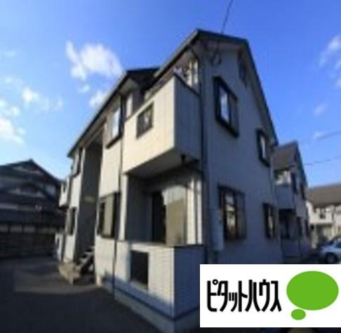 アレリエスB