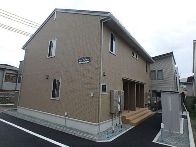 サンフラワー