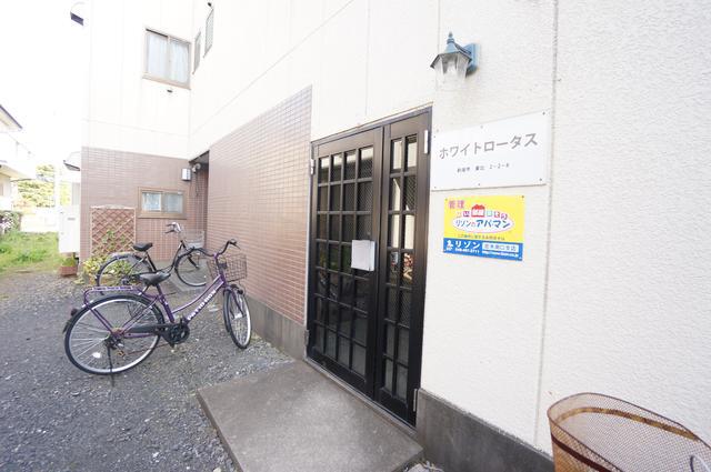ホワイトロータス