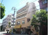 パインパール中野