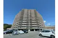 ベルウイング高陽35